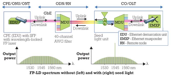 Basic WDM-PON architecture
